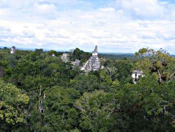 Temple pyramids above the jungle canopy